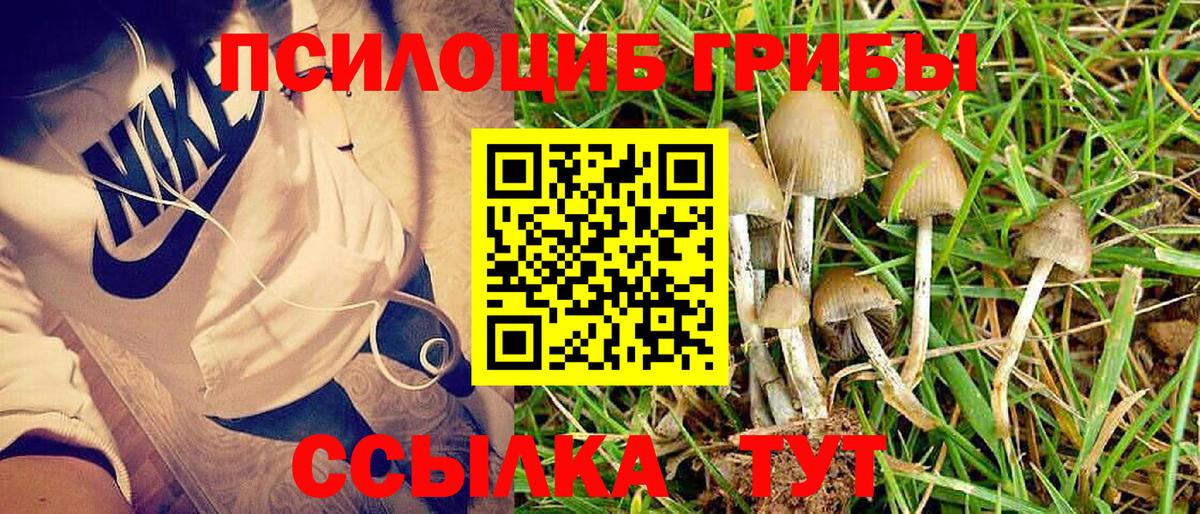 Галлюциногенные грибы ЛСД  Псилоцибиновые грибы ЛСД  Вход с VPN  Тайшет 