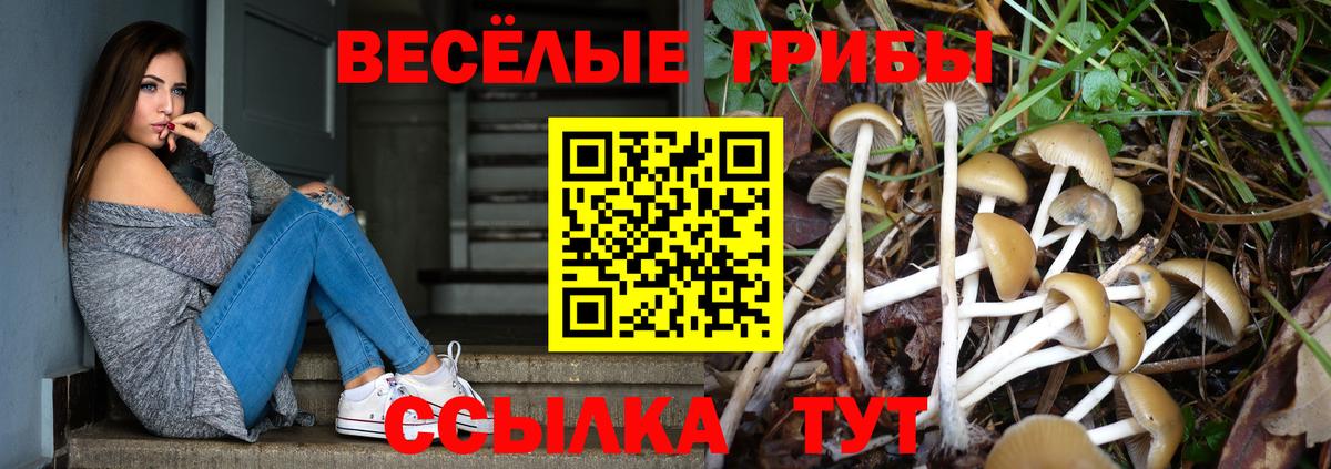 Псилоцибиновые грибы ЛСД Тайшет